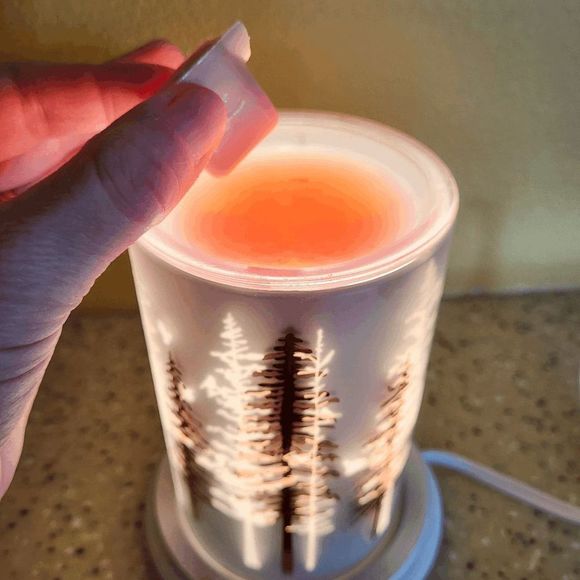 Sparkling Sangria - Soy Wax Melt - Picture 3 of 4